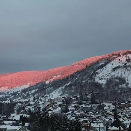 Chalet Fleur Des Vosges 5 Bedrooms *