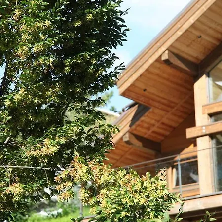 Fleur Des Vosges 5 Bedrooms * La Bresse