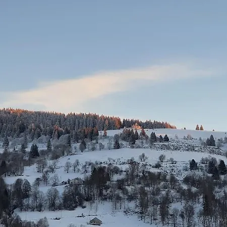 Fleur Des Vosges 5 Bedrooms Chalet *