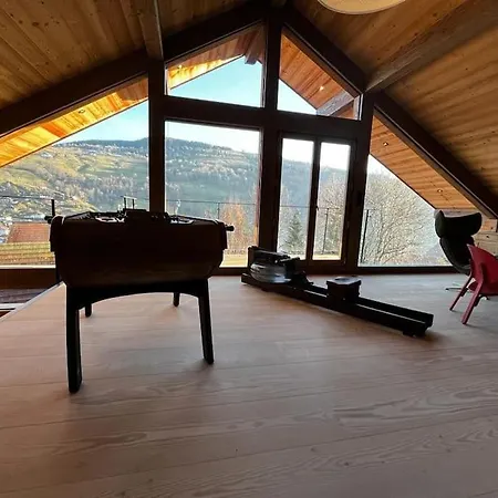 Alpehytte Fleur Des Vosges 5 Bedrooms La Bresse