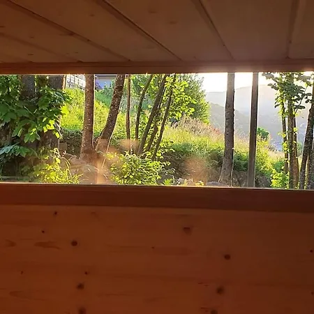 Chalet Fleur Des Vosges 5 Bedrooms