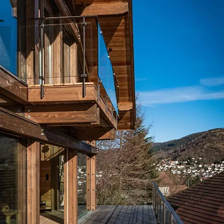 Fleur Des Vosges 5 Bedrooms Chalet